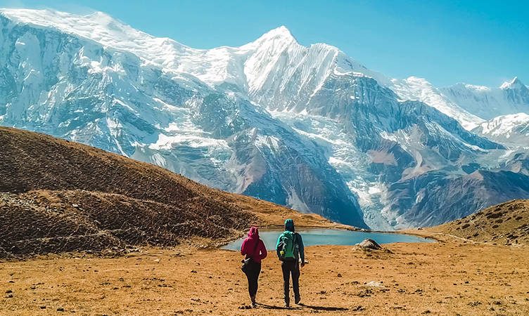 Growing appetite for travel driven by borders reopening and VTLs: Report