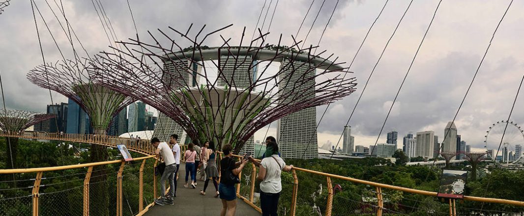 The Wrap: Joint STB-Agoda marketing campaign, Mayflower Holidays’ partnership with TA Network, Duetto’s revenue management survey