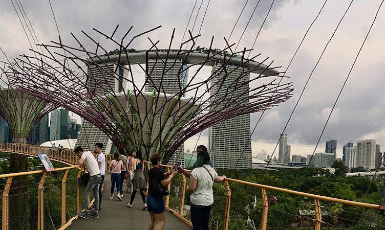 The Wrap: Joint STB-Agoda marketing campaign, Mayflower Holidays’ partnership with TA Network, Duetto’s revenue management survey