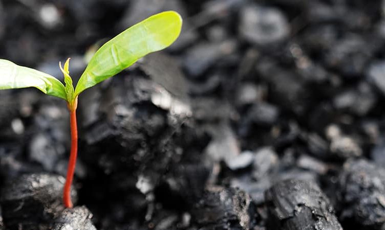How travel is turning the Great Resignation into the Great Renewal