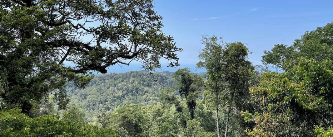 The Habitat pursues profit to address “the issues of our times”