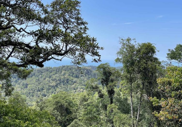 The Habitat pursues profit to address “the issues of our times”