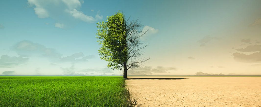 Travel in transition – a reshuffle of leadership taking place before our very eyes