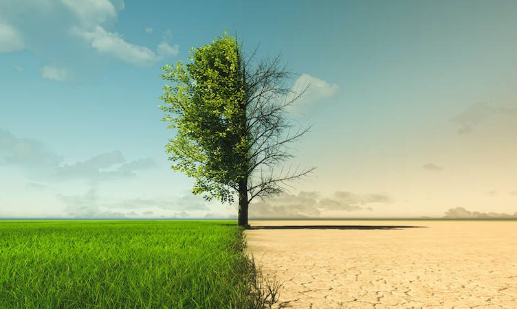 Travel in transition – a reshuffle of leadership taking place before our very eyes