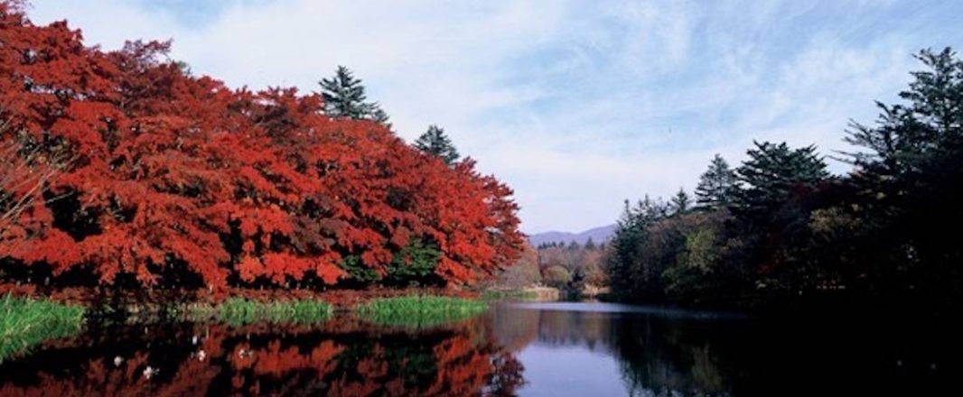 FCM steps up its game in Japan with blend of global-local tech solutions
