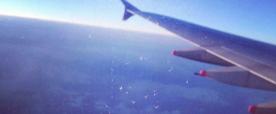 As recovery pace quickens, airlines cut losses to $9.7b