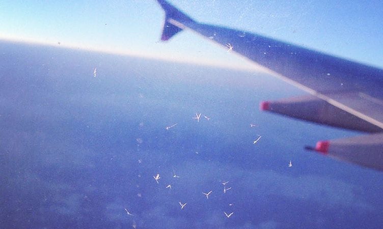 As recovery pace quickens, airlines cut losses to $9.7b