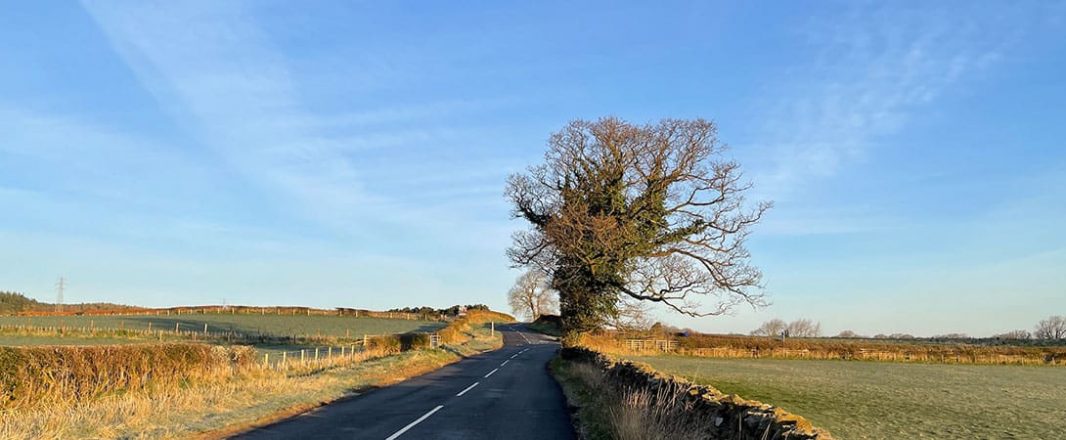 Letter from Northumberland: Hello, New World