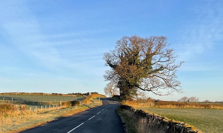 Letter from Northumberland: Hello, New World