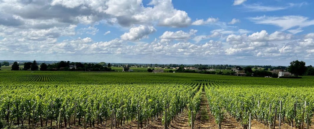 Saint-Emilion uncorked: Monoliths, merlot and a man called Ma