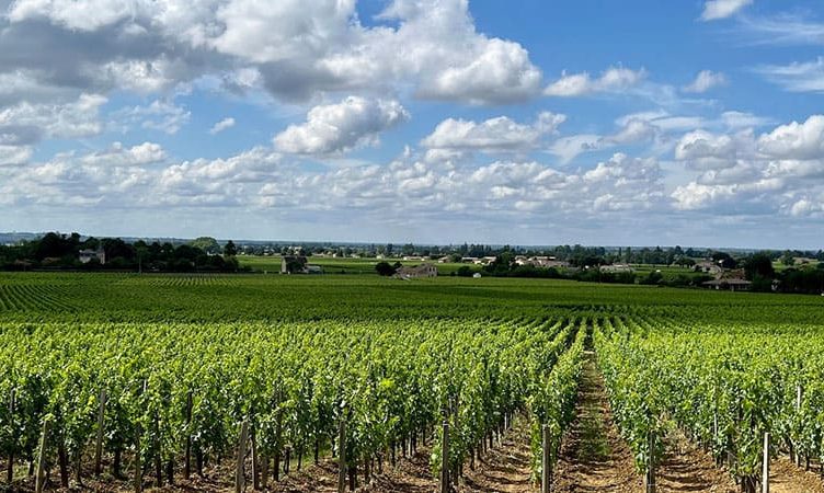 Saint-Emilion uncorked: Monoliths, merlot and a man called Ma