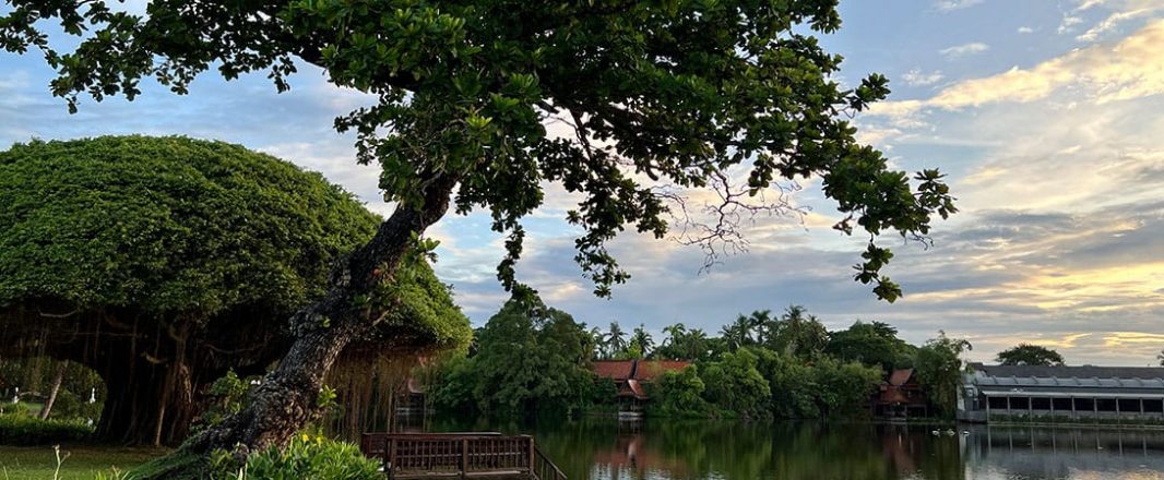 Letter from Bangkok: What the world needs now is a lot more wellness
