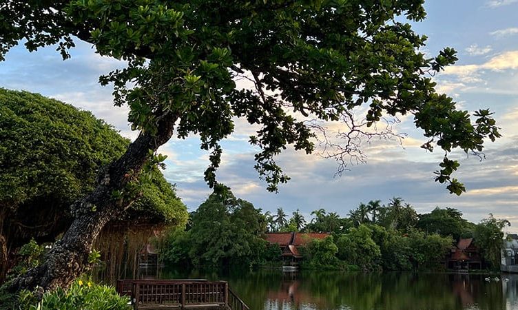 Letter from Bangkok: What the world needs now is a lot more wellness
