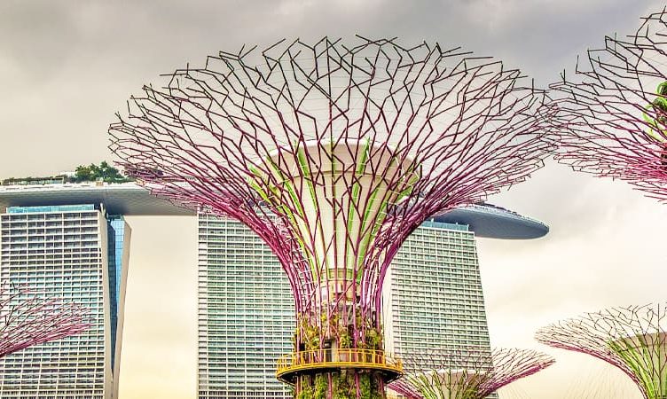 WiT Singapore 2022: Sustainable travel hits the spotlight