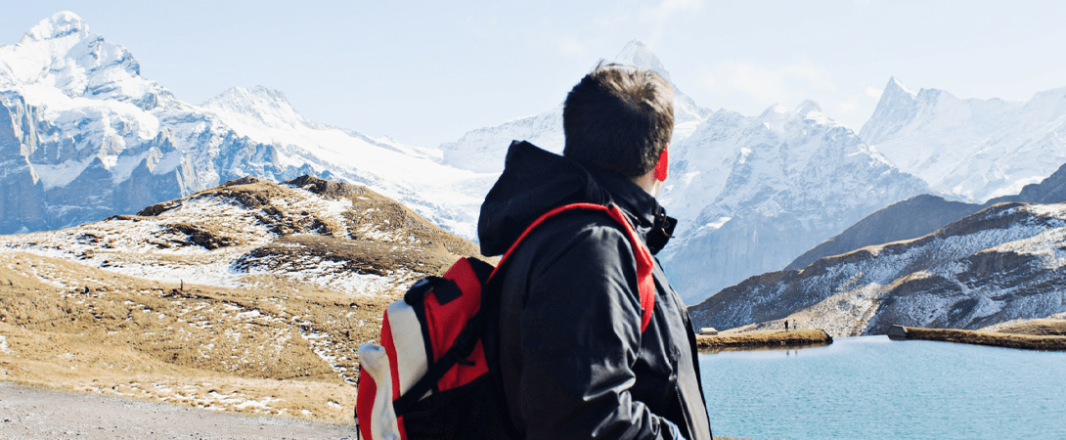 Studies see possible muted fall, return of holiday travel