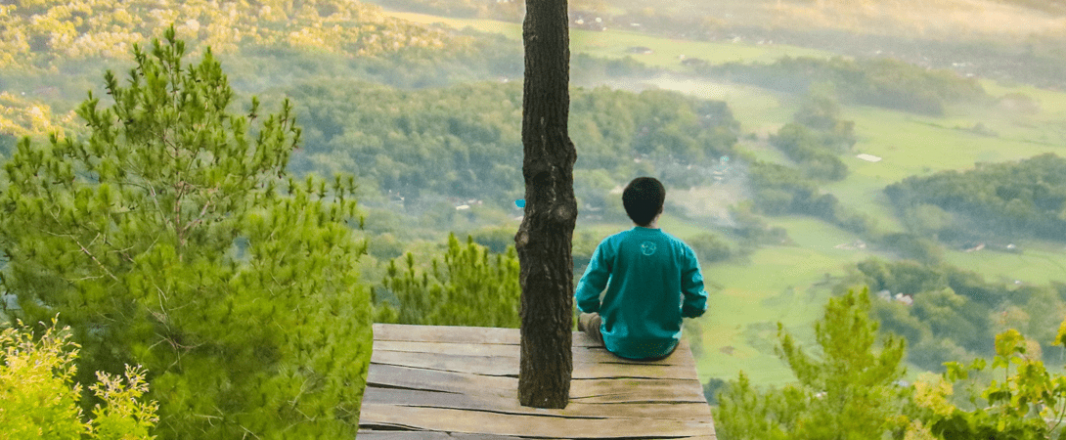 Tech in Travel: Trees for travellers, Metaverse for airlines, a solution to eliminate margin-eating intermediaries and Uber drives deeper into travel, sort of.
