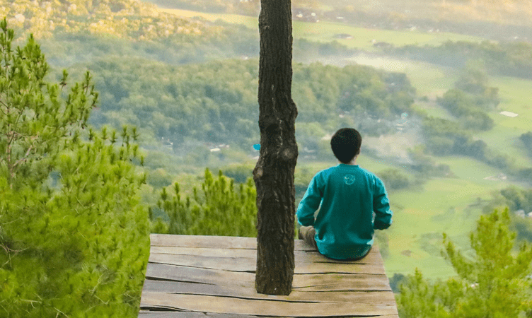 Tech in Travel: Trees for travellers, Metaverse for airlines, a solution to eliminate margin-eating intermediaries and Uber drives deeper into travel, sort of.