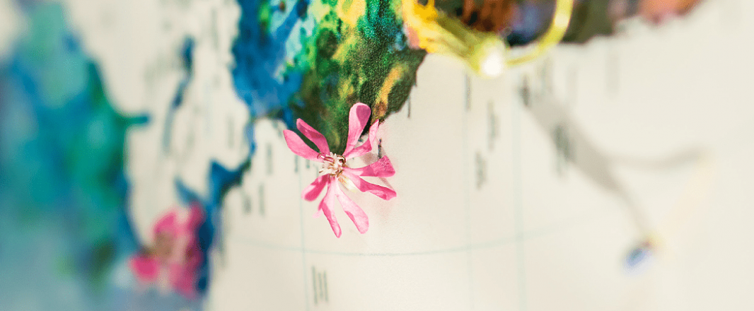 ‘The Travel Corporation’ launches carbon fund to reach net zero