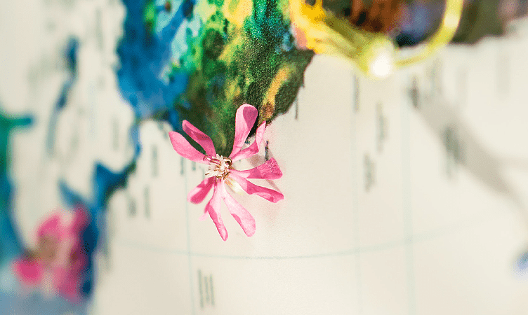 ‘The Travel Corporation’ launches carbon fund to reach net zero