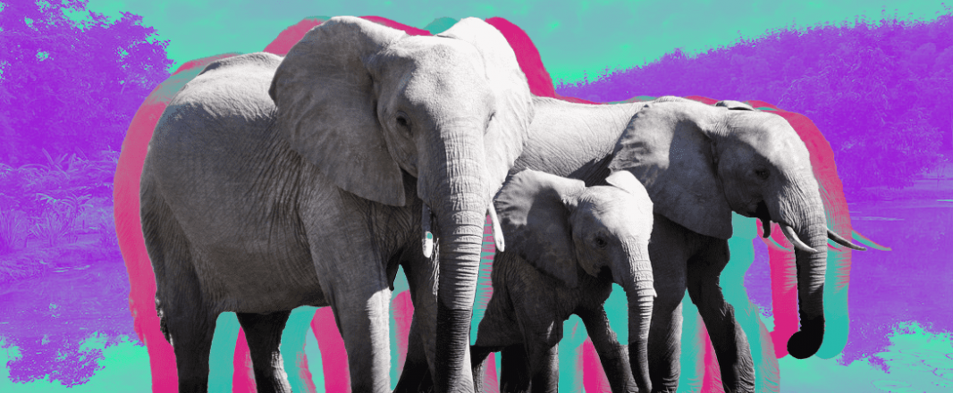 Letter from Thailand: Hilltribes, elephants, Michelin dining and weed make for a heady concoction