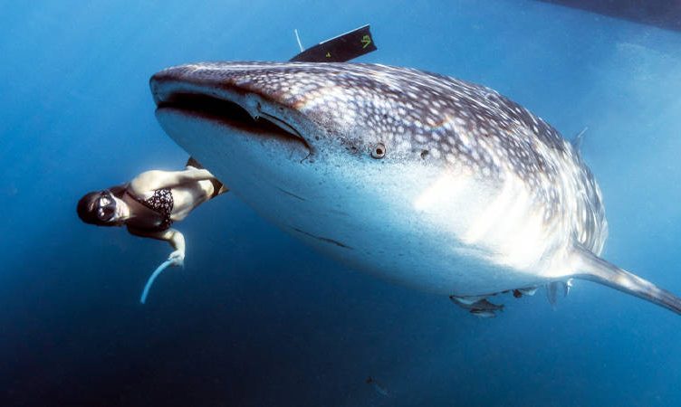 Bangkok garners 11 million searches, as travellers got adventurous with shark-diving, ziplining, and spooky tours in 2022