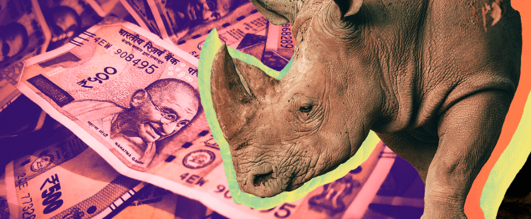 Rhinos, unicorns, and fragmented markets: 3 investment trends that will shape travel and hospitality this year