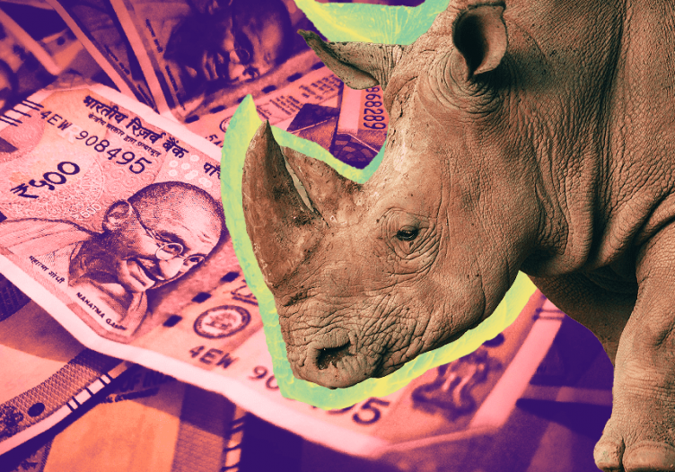 Rhinos, unicorns, and fragmented markets: 3 investment trends that will shape travel and hospitality this year