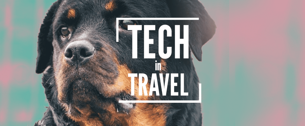 Chat GPT writes poetry for Agoda; Startup clears aircraft aisles; Watchdog hunts dodgy influencers