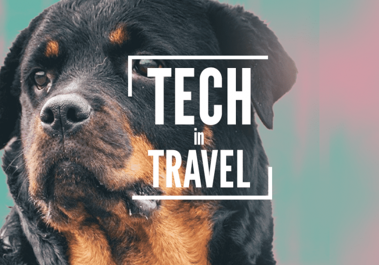 Chat GPT writes poetry for Agoda; Startup clears aircraft aisles; Watchdog hunts dodgy influencers