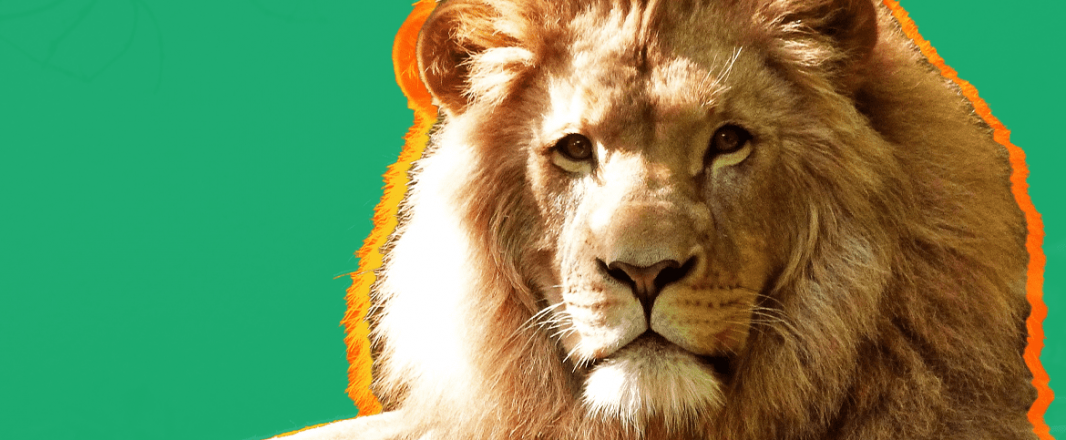 Go City and Mandai Wildlife Group announce multi-year partnership, targeting long-haul travelers
