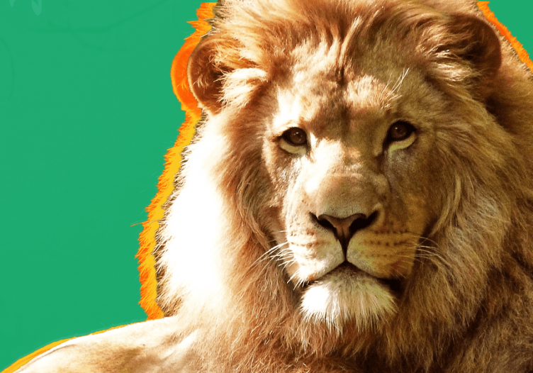 Go City and Mandai Wildlife Group announce multi-year partnership, targeting long-haul travelers