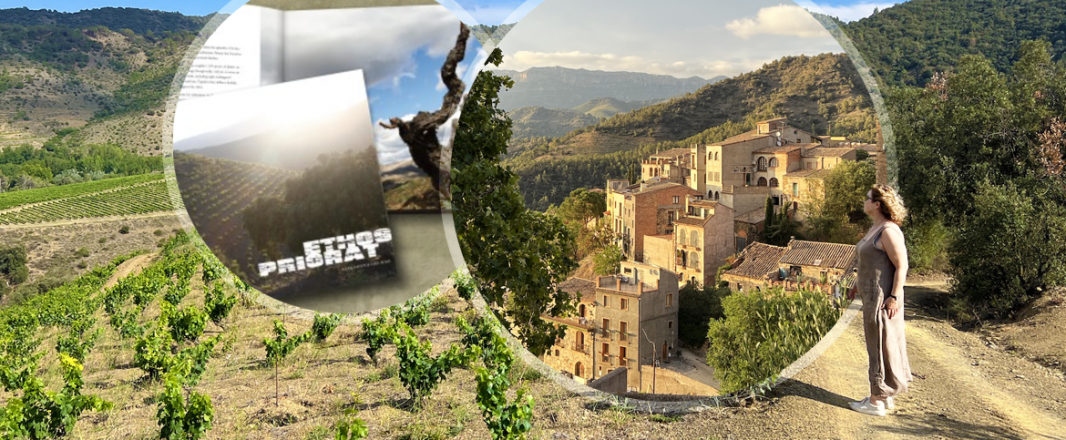Letter from the Priorat, Catalonia: Listening to the wines, and the silence