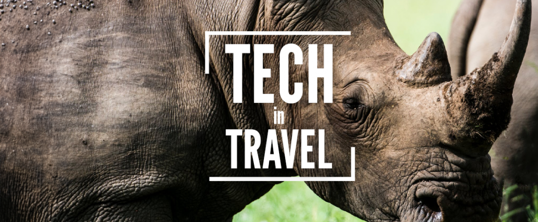 AI protects rhinos. Food and computers mashed. Saudia launches with AI.