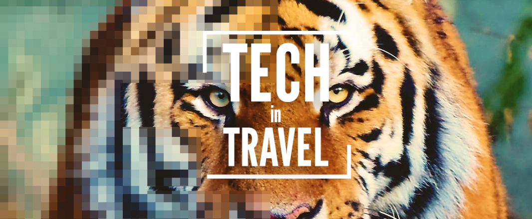 Bansko attracts nomads. Tackling ticket scammers. MATTA’s tiger tokens. More.