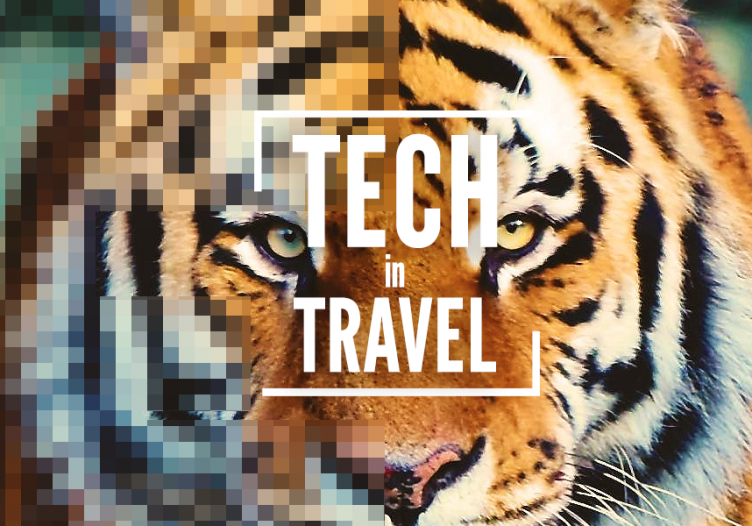 Bansko attracts nomads. Tackling ticket scammers. MATTA’s tiger tokens. More.