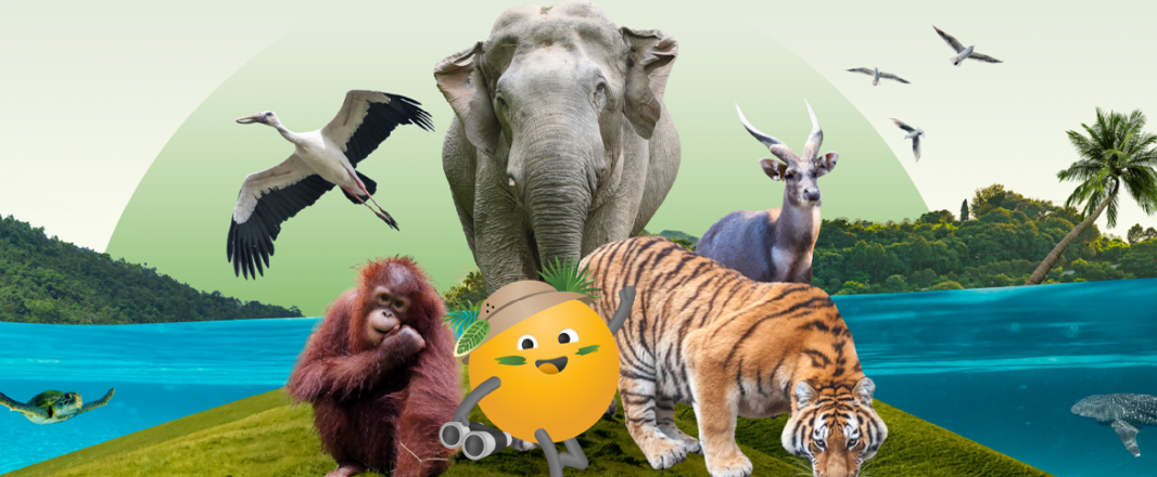 Agoda expands partnership with WWF to support conservation initiatives across Southeast Asia