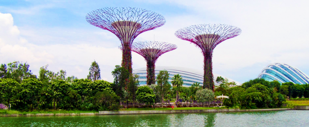 Gardens by the Bay named the world’s most Instagrammable flower gardens