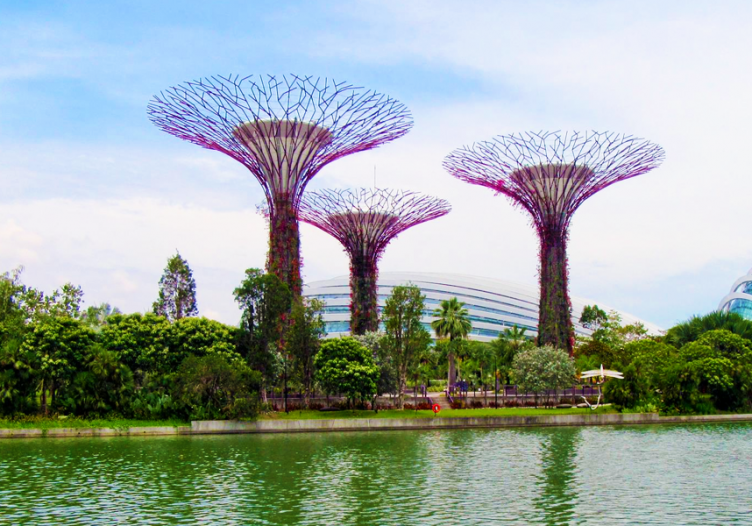 Gardens by the Bay named the world’s most Instagrammable flower gardens