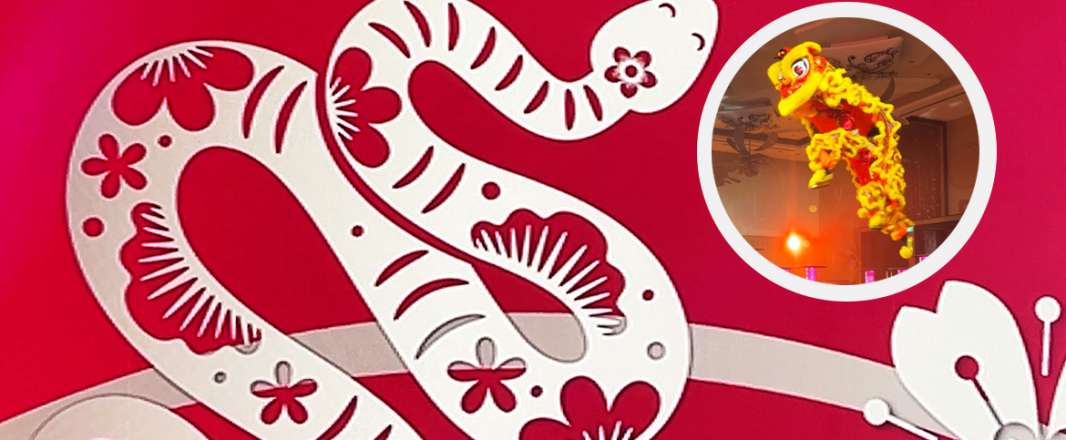 Slow and slithery into the New Lunar Year: Navigating the “firehose” of changes