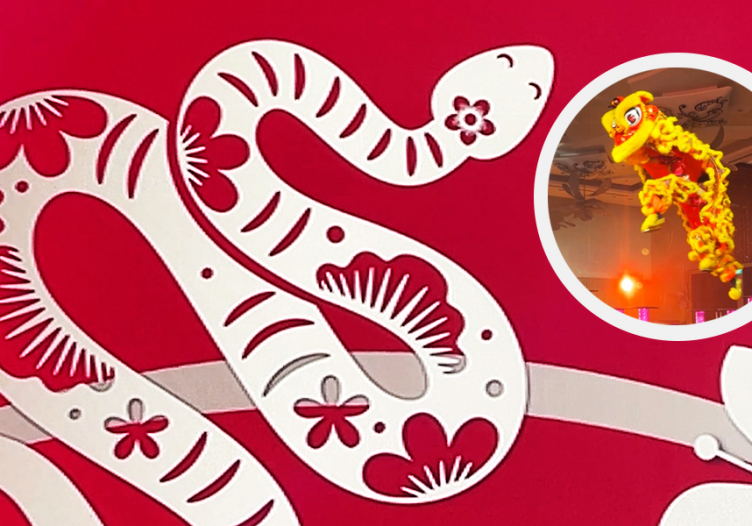 Slow and slithery into the New Lunar Year: Navigating the “firehose” of changes