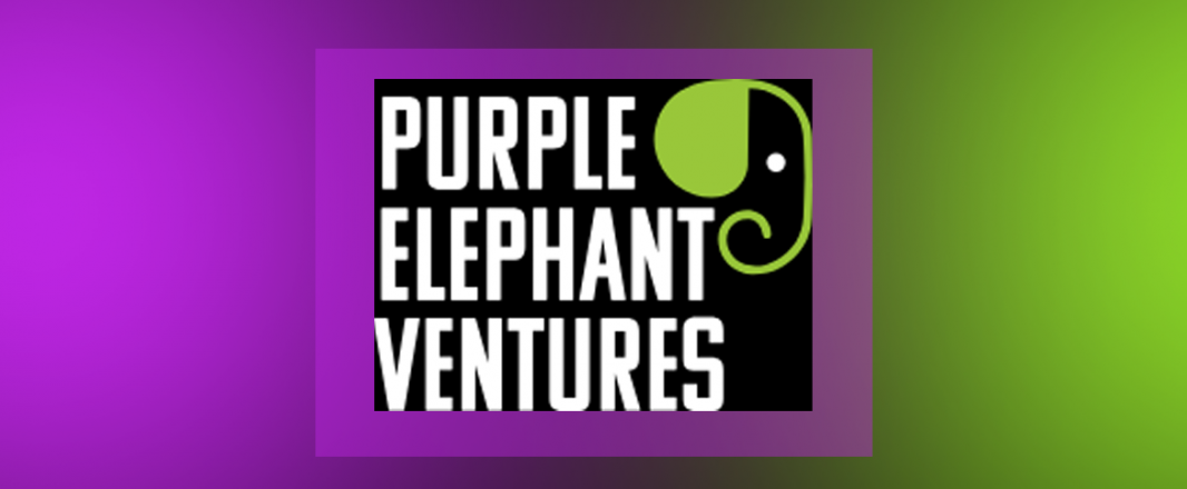 Purple Elephant Ventures raises $4.5M to build travel technology in Africa