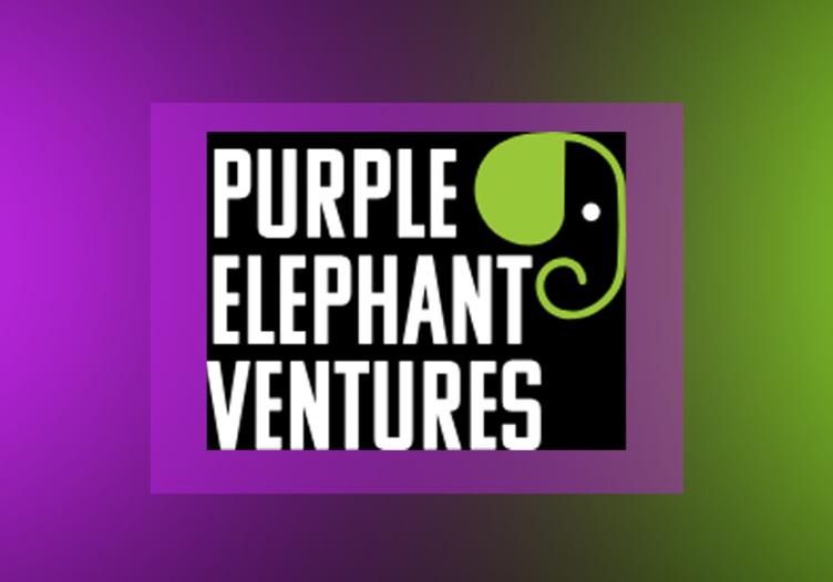 Purple Elephant Ventures raises $4.5M to build travel technology in Africa