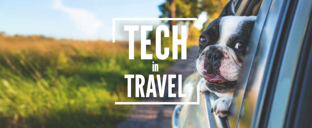 Pet-friendly travel. Booking Holdings likes OpenAI. US wants more biometrics. MakeMyTrip revenue boost.