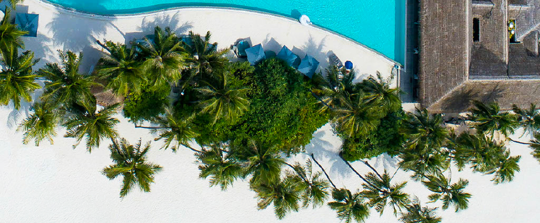 Asia’s most adaptable hotels outperform peers by 59%