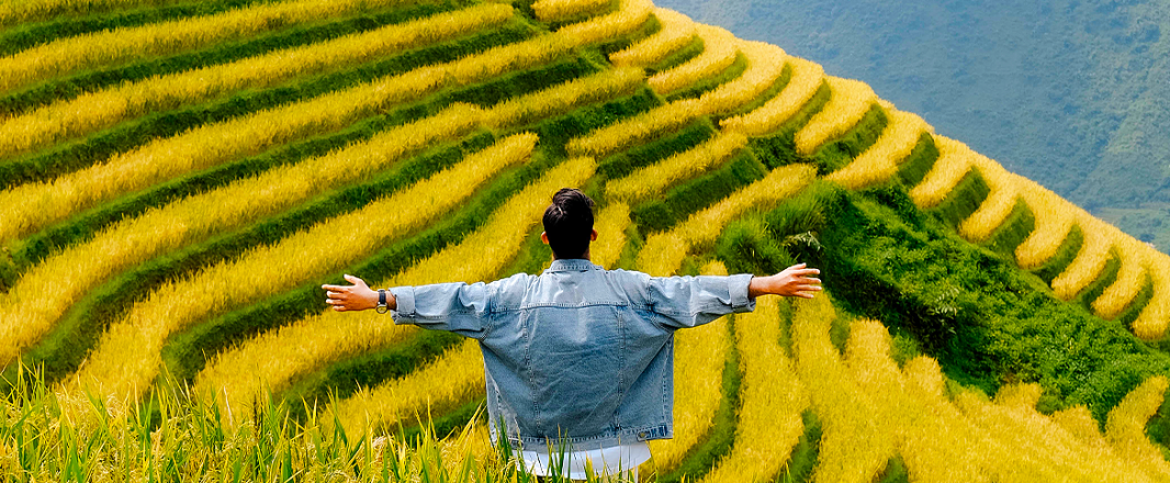 Travellers resonate more with the unknown, study finds