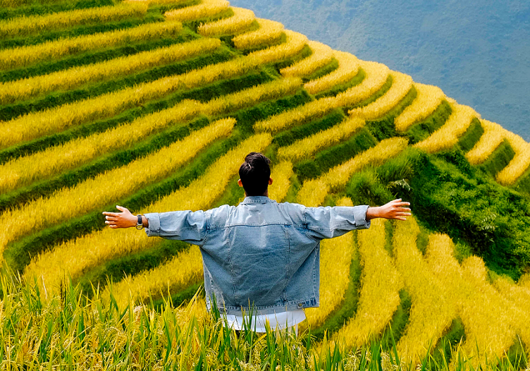 Travellers resonate more with the unknown, study finds