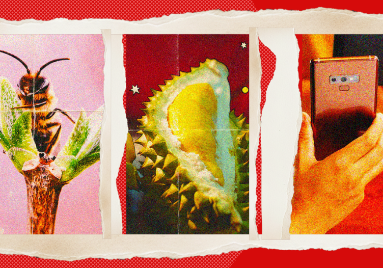 Oh no, not another “Traveller Trend” piece: Shut up and listen to me