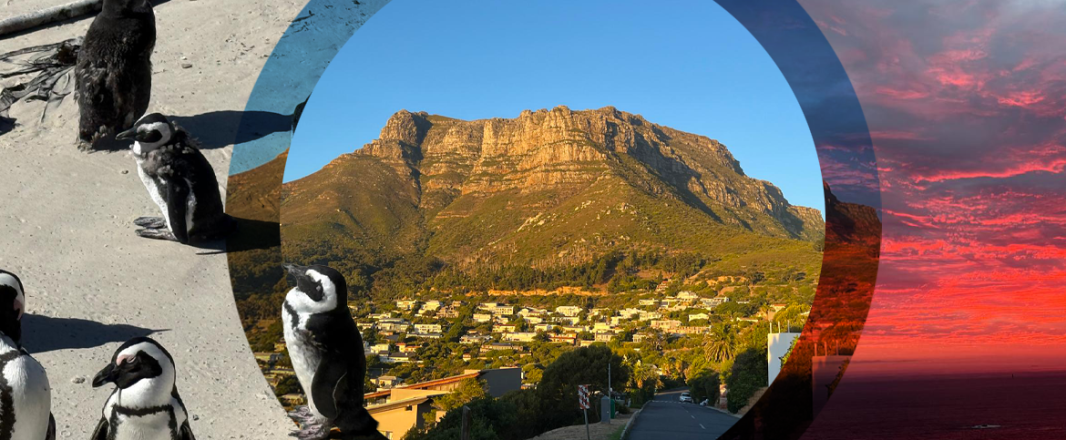 Letter from Cape Town: Finding your Table Mountain