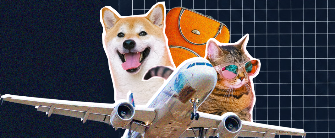 Would you relocate for a job if your pet couldn’t come with you?