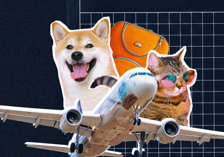 Would you relocate for a job if your pet couldn’t come with you?